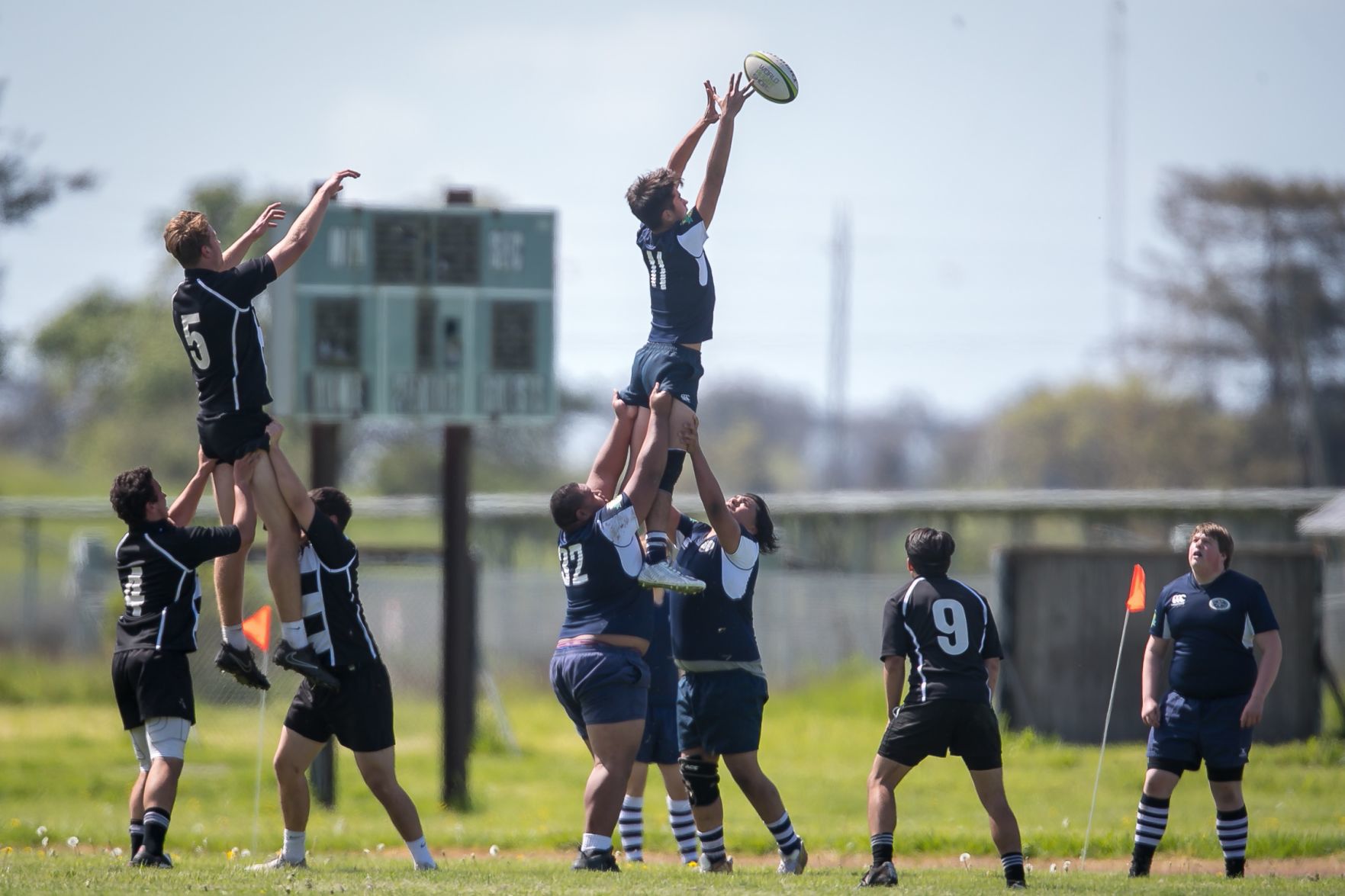 Napa Stormers rugby